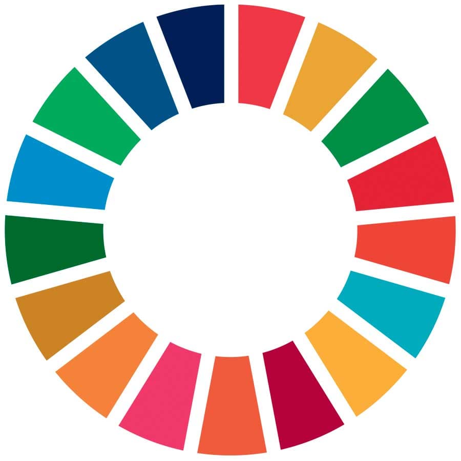 UN Sustainable Development Goals